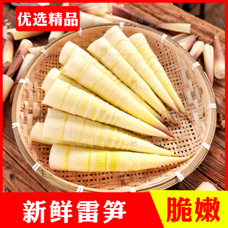 深底上的雷笋