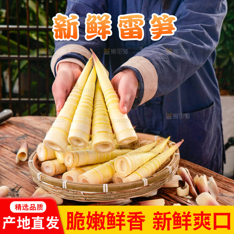 深底上的雷笋
