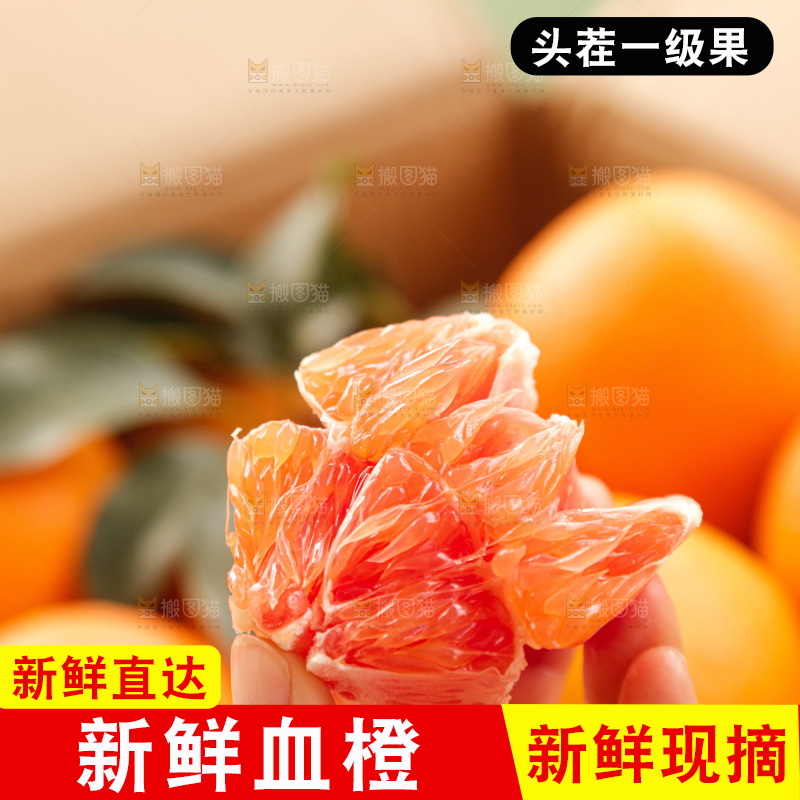新鲜血橙