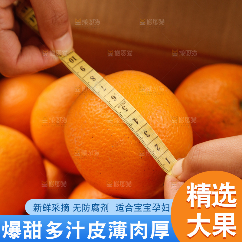 新鲜血橙