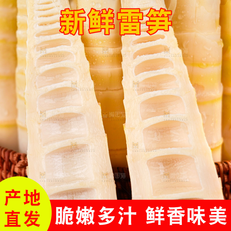 深底上的雷笋