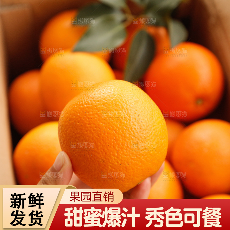新鲜血橙