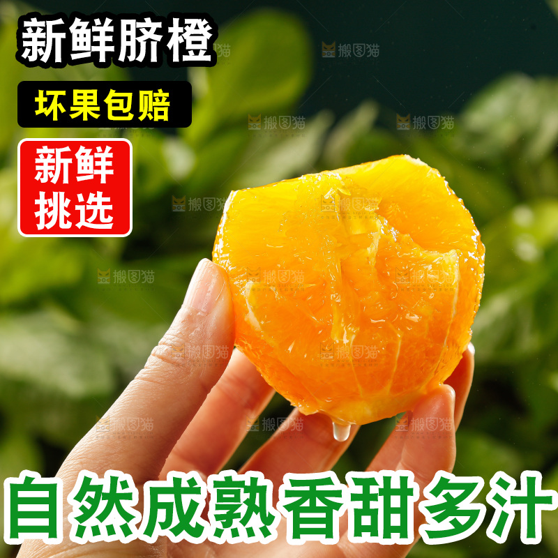 深底上的脐橙