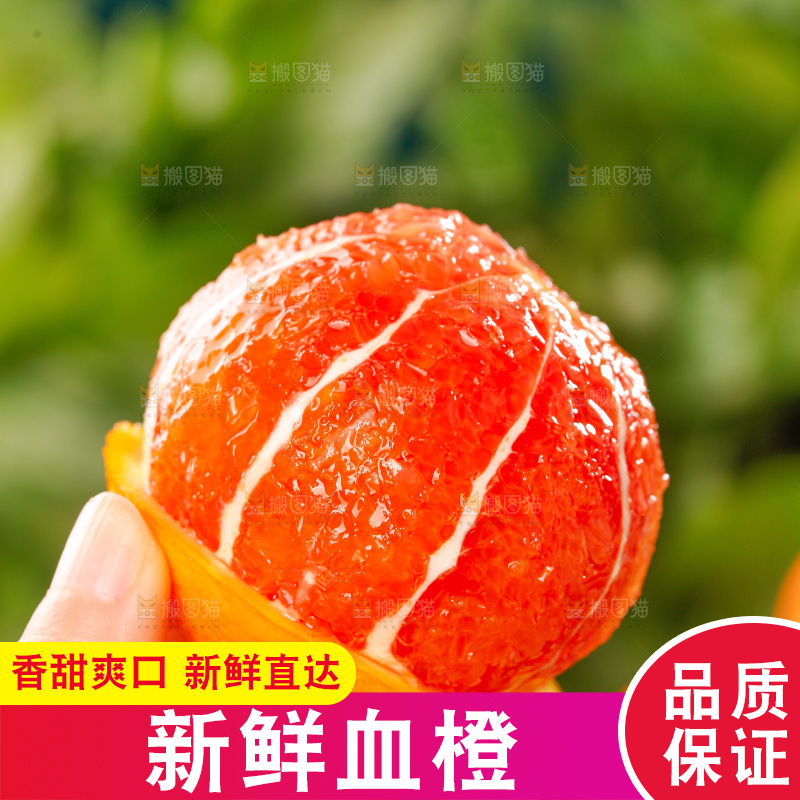 浅底上的血橙