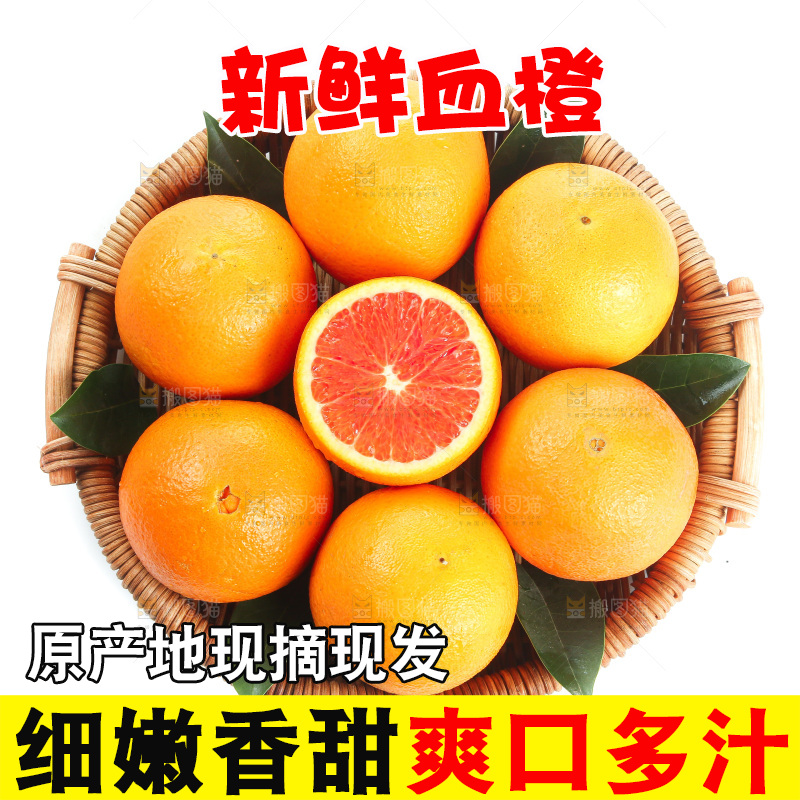 白底上的血橙
