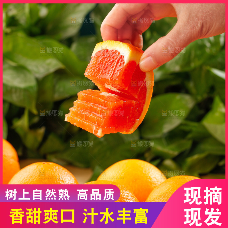 浅底上的血橙