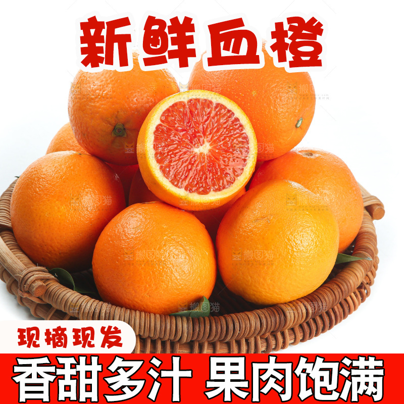白底上的血橙