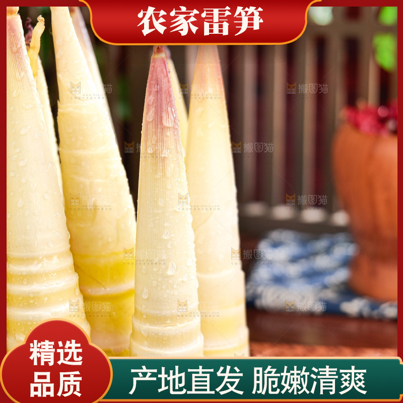 深底上的雷笋