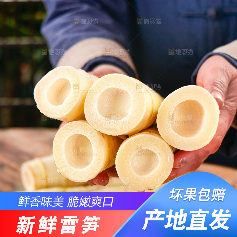 深底上的雷笋