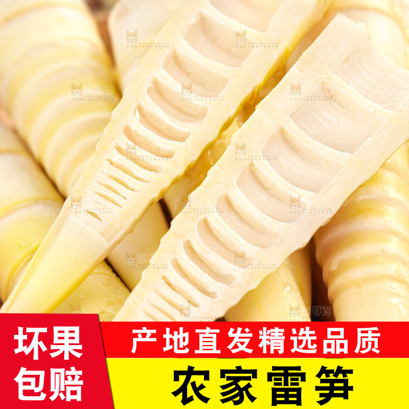 深底上的雷笋