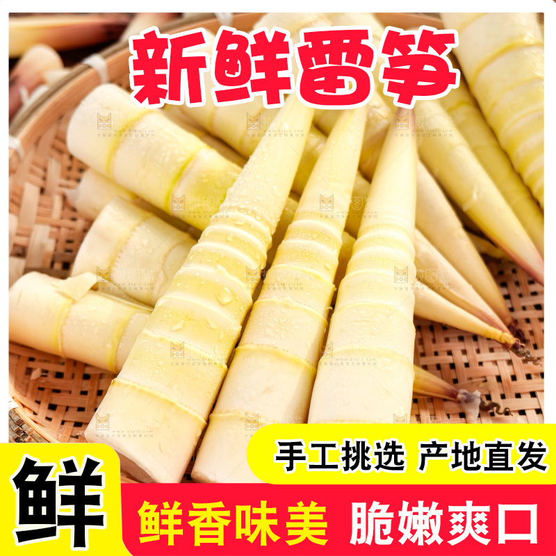 深底上的雷笋