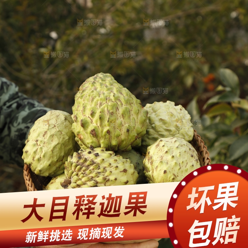 筐子里装的释迦果