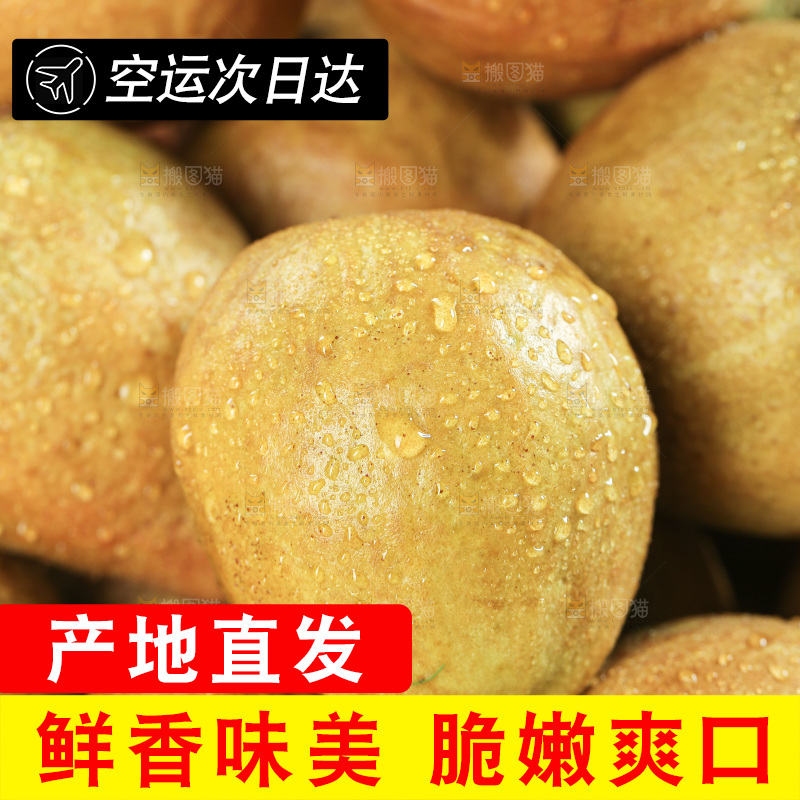 木底上的红心芭乐