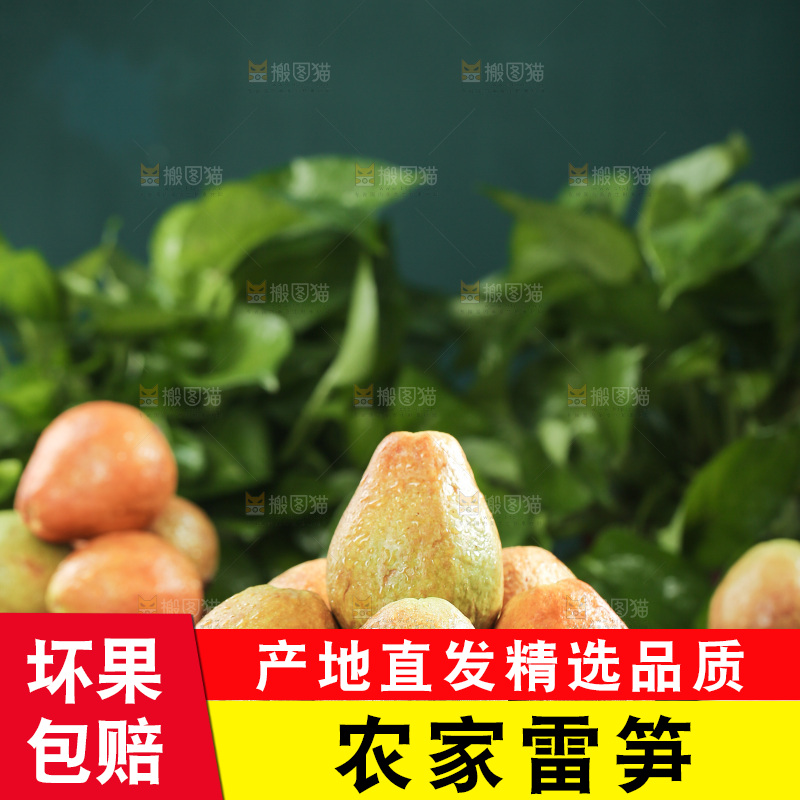 木底上的红心芭乐