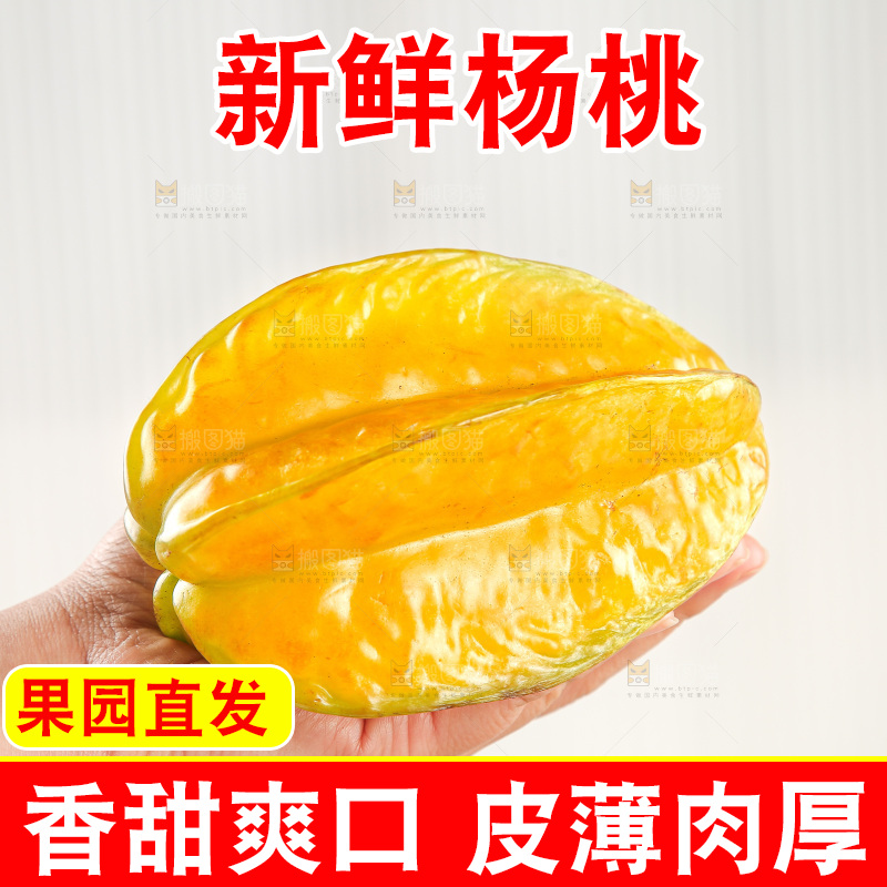 浅底上的杨桃