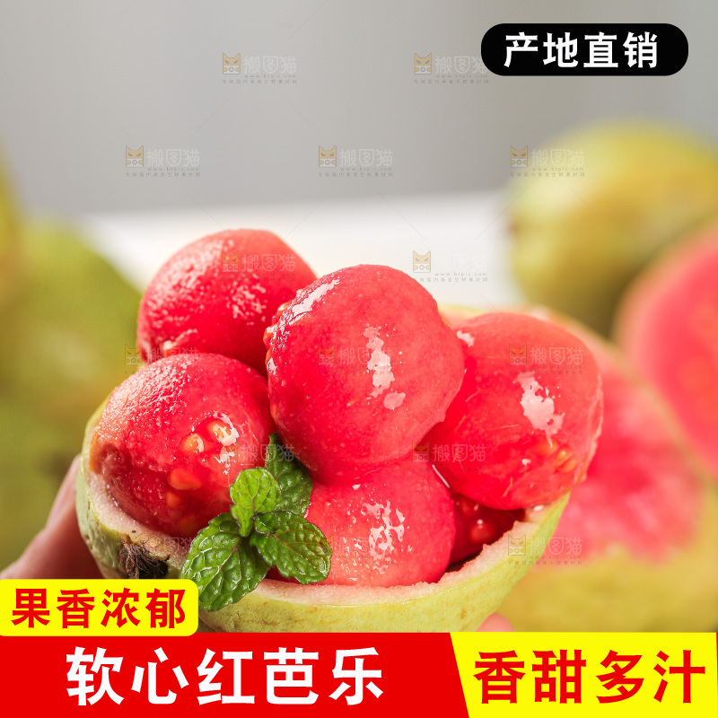 浅底上的红心芭乐