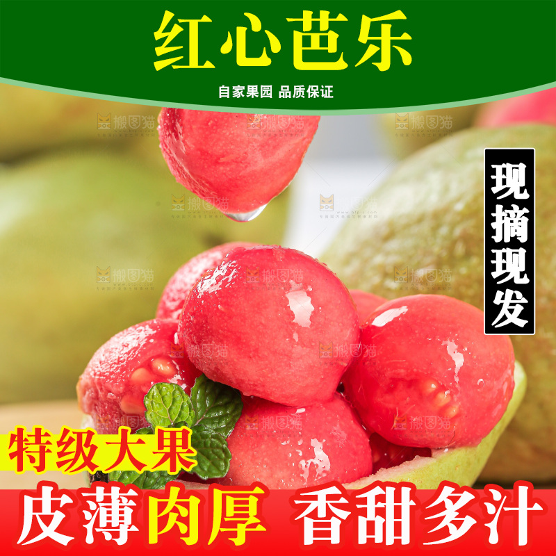 浅底上的红心芭乐