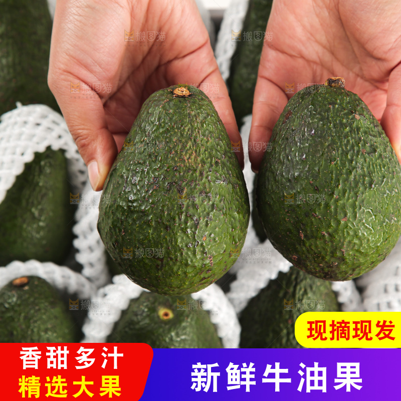 浅底上的牛油果