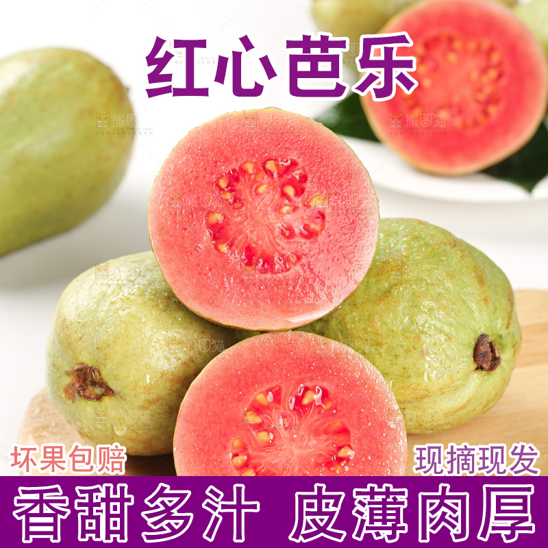 浅底上的红心芭乐