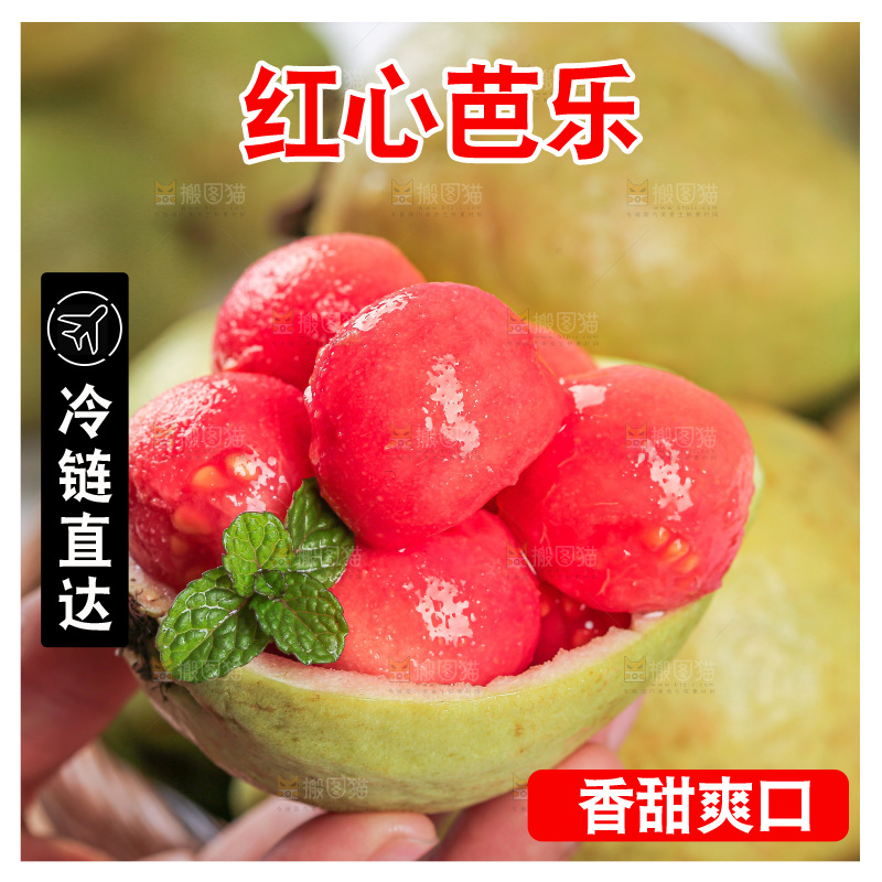 浅底上的红心芭乐
