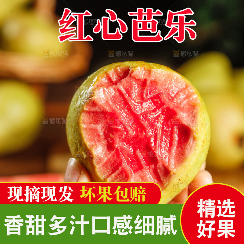 深底上的红心芭乐