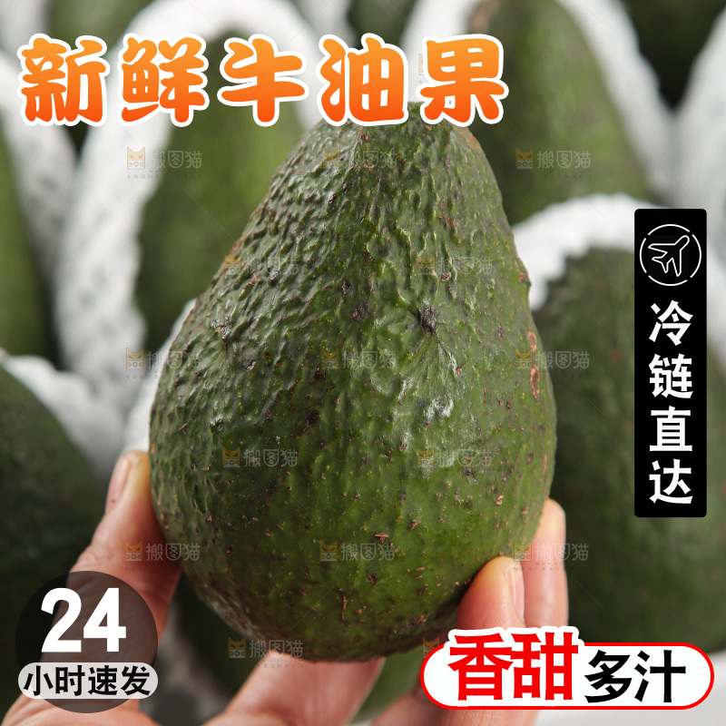 浅底上的牛油果