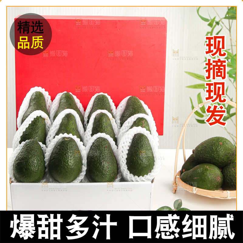 浅底上的牛油果