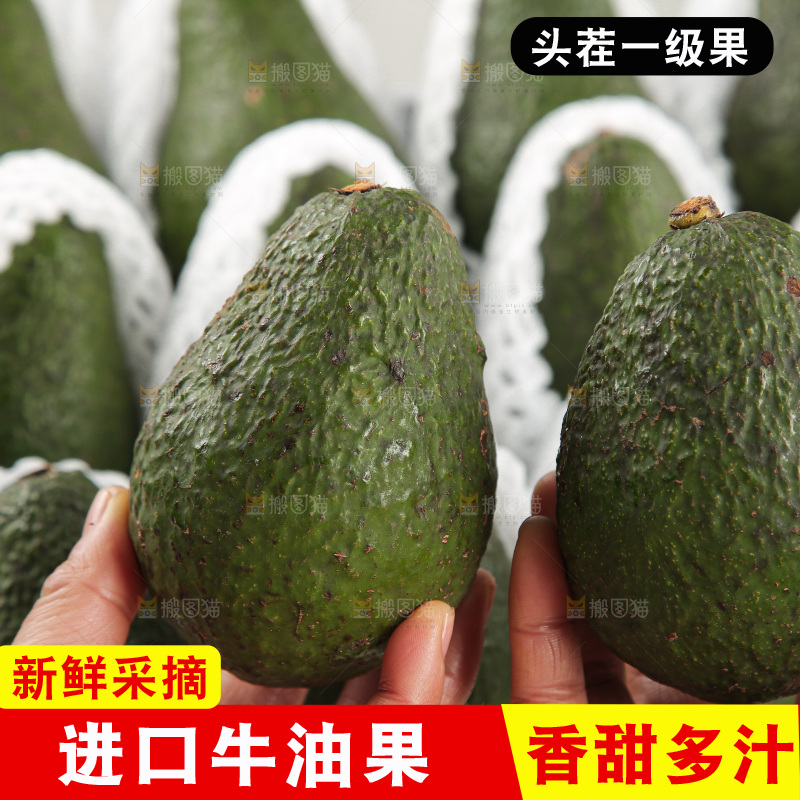 浅底上的牛油果