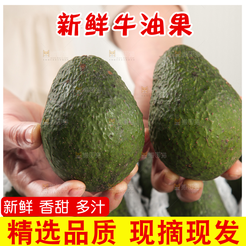 浅底上的牛油果