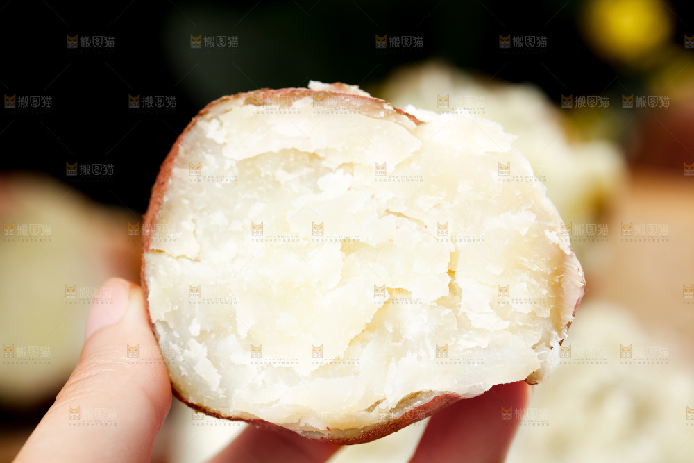深底上的白心红薯