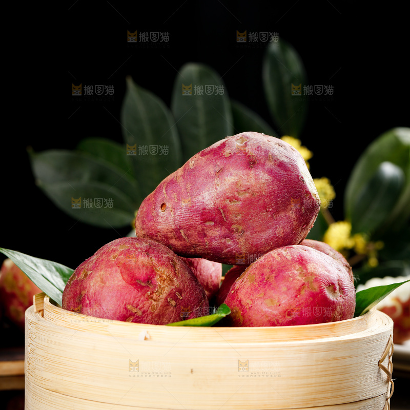 深底上的白心红薯