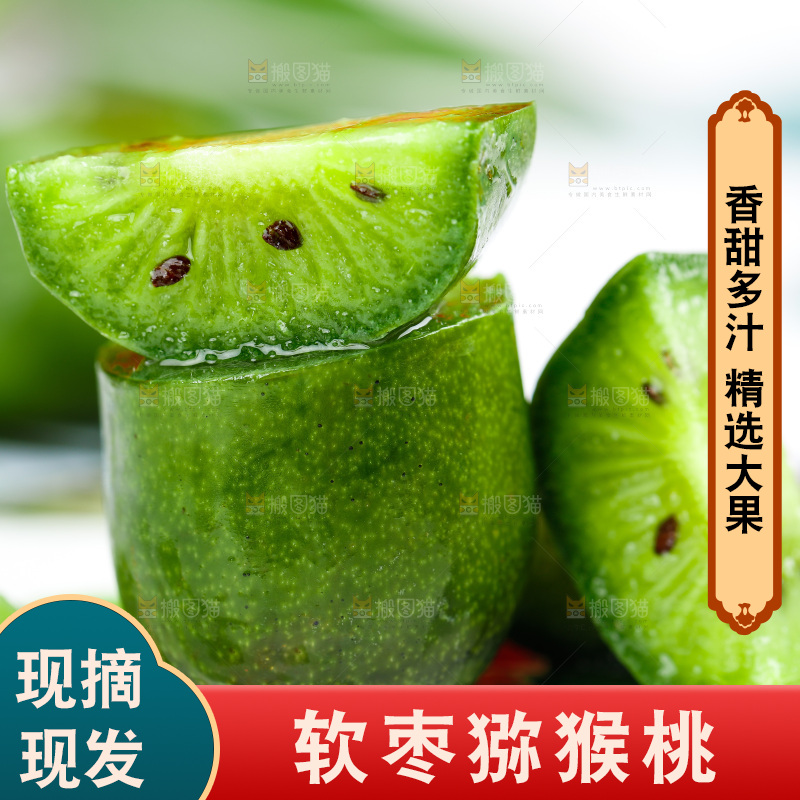 浅底上的软枣猕猴桃