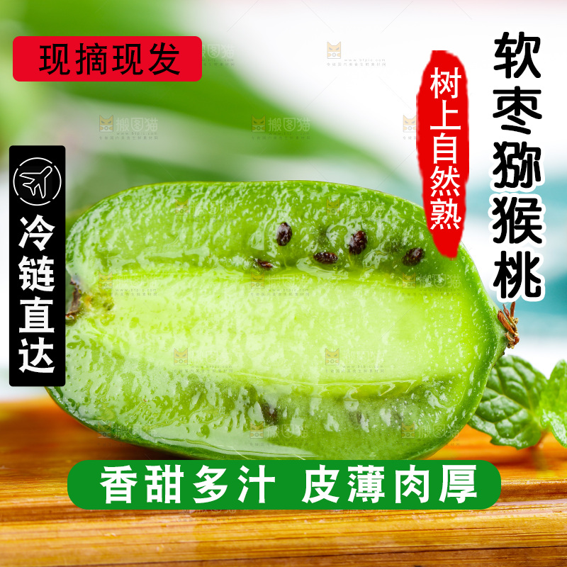 浅底上的软枣猕猴桃