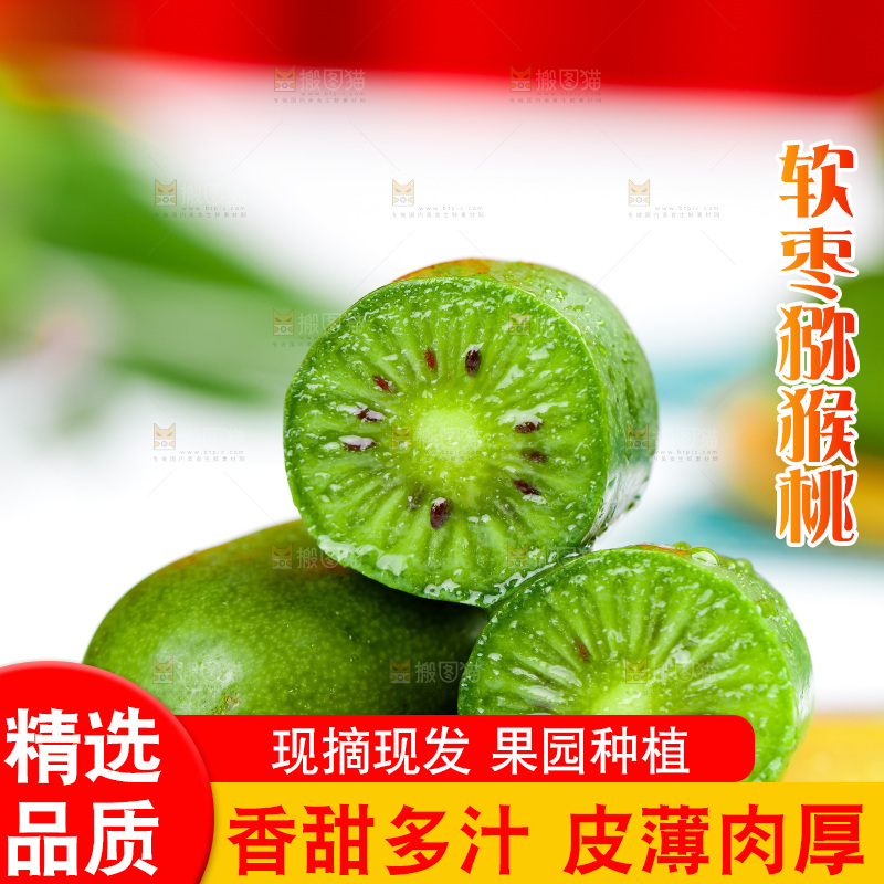 浅底上的软枣猕猴桃
