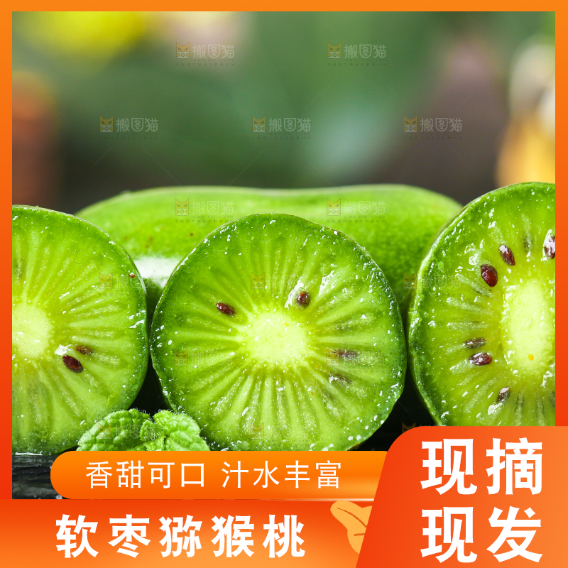 深底上的软枣猕猴桃