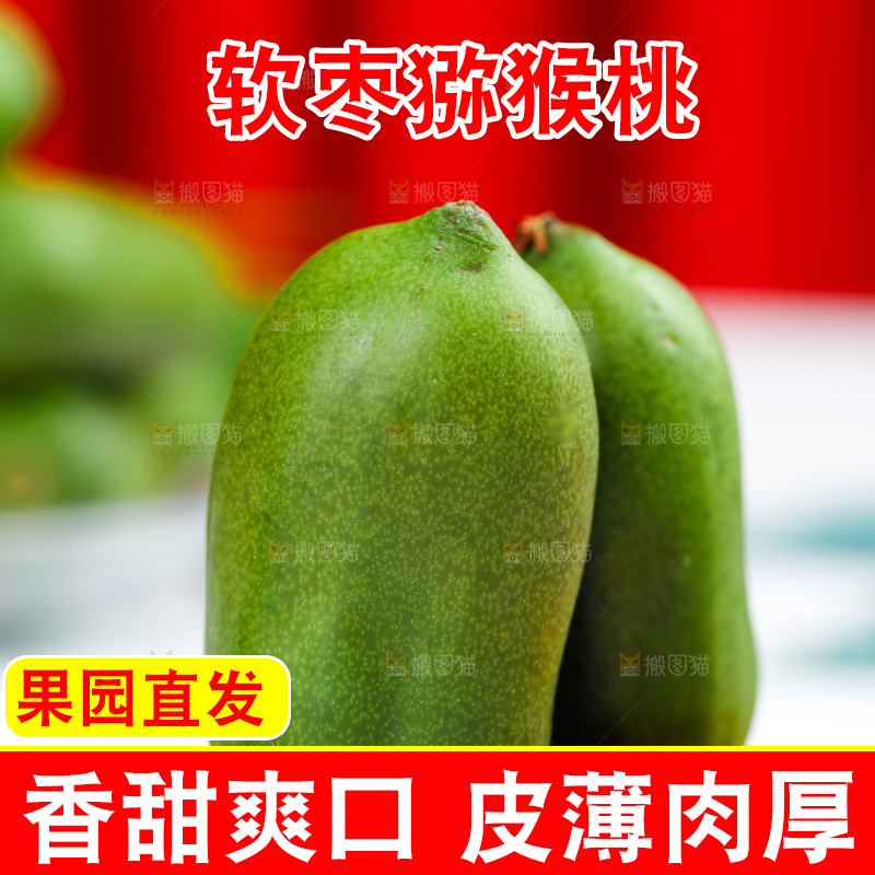 浅底上的软枣猕猴桃