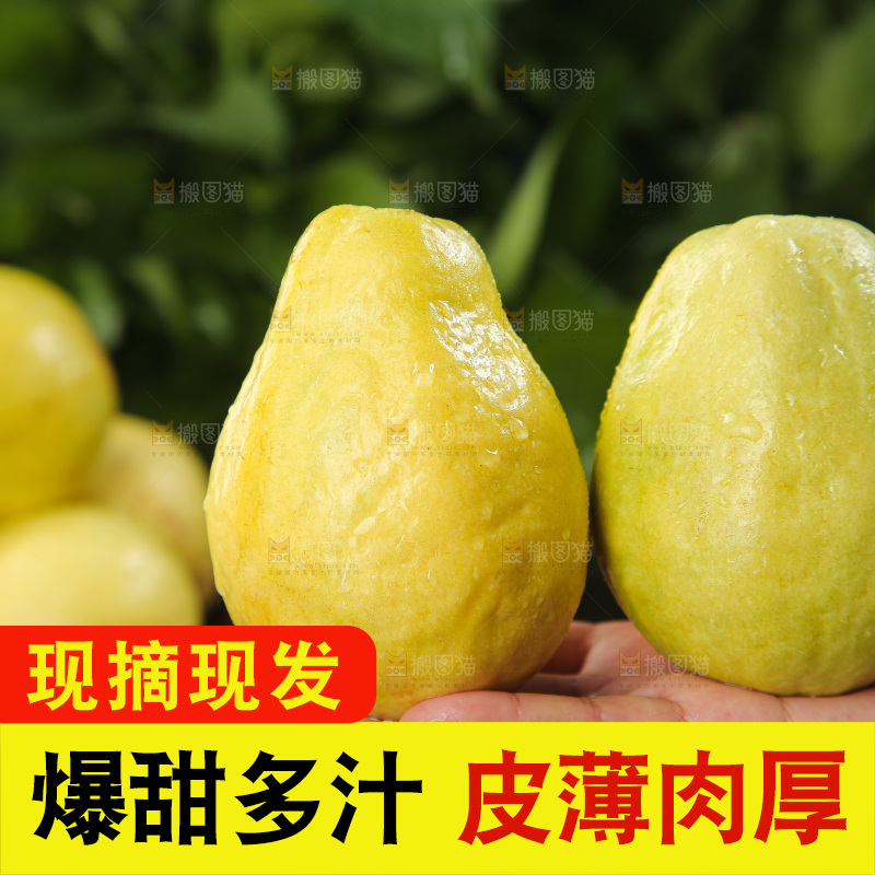 深底上的奶油芭乐