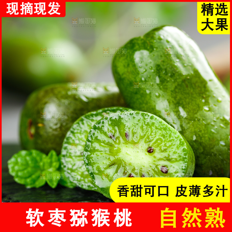 深底上的软枣猕猴桃