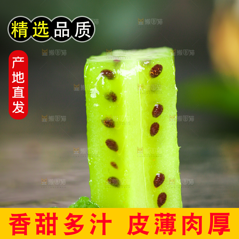 深底上的软枣猕猴桃