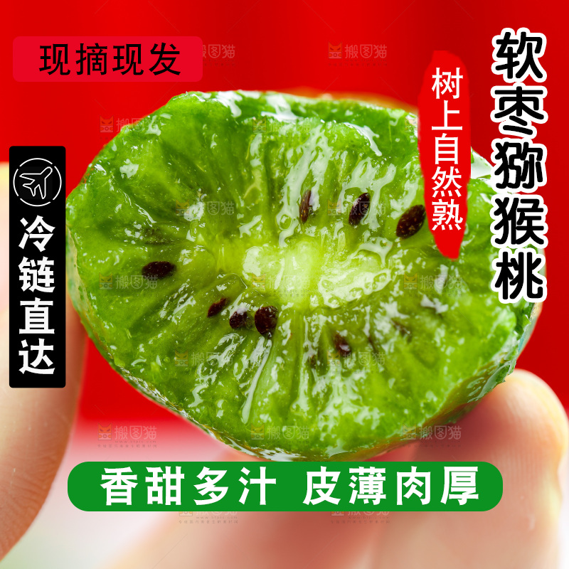 浅底上的软枣猕猴桃