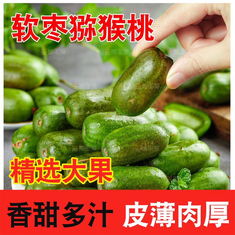 深底上的软枣猕猴桃