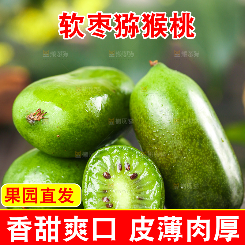 深底上的软枣猕猴桃