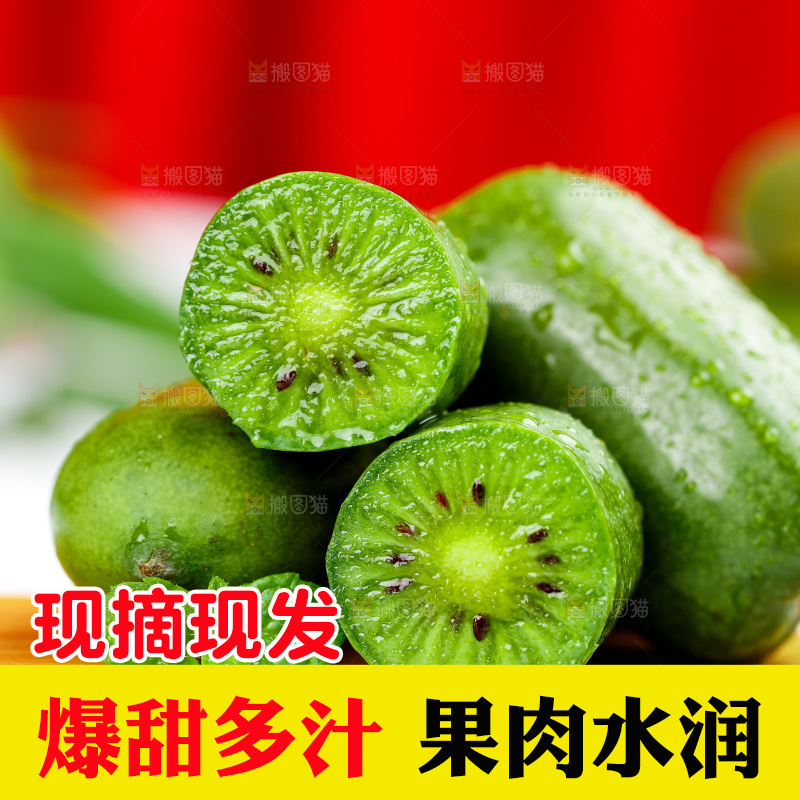 浅底上的软枣猕猴桃