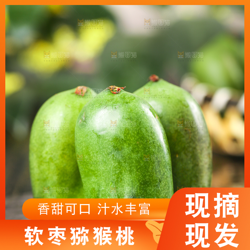 深底上的软枣猕猴桃