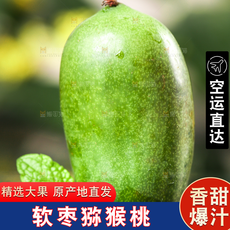 深底上的软枣猕猴桃
