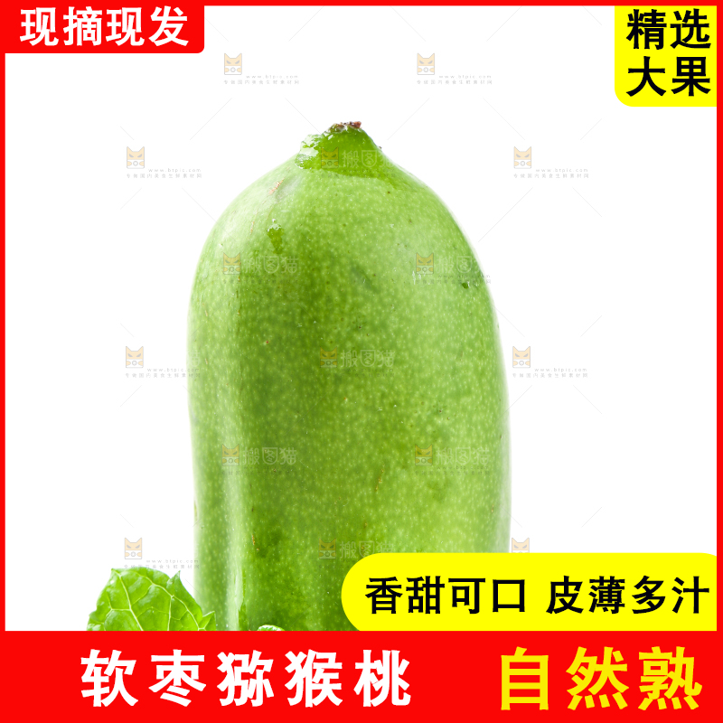 白底上的软枣猕猴桃