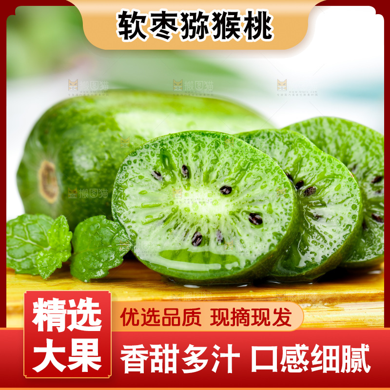 浅底上的软枣猕猴桃
