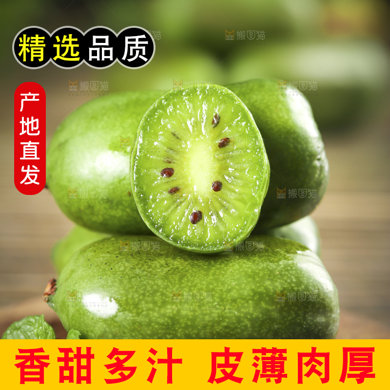 深底上的软枣猕猴桃