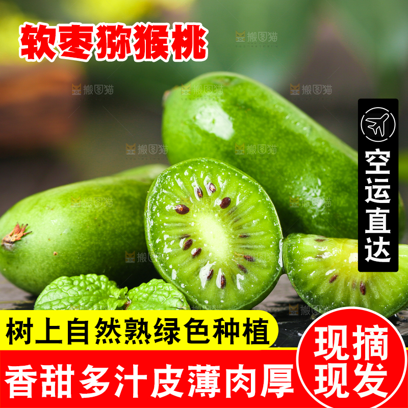 深底上的软枣猕猴桃