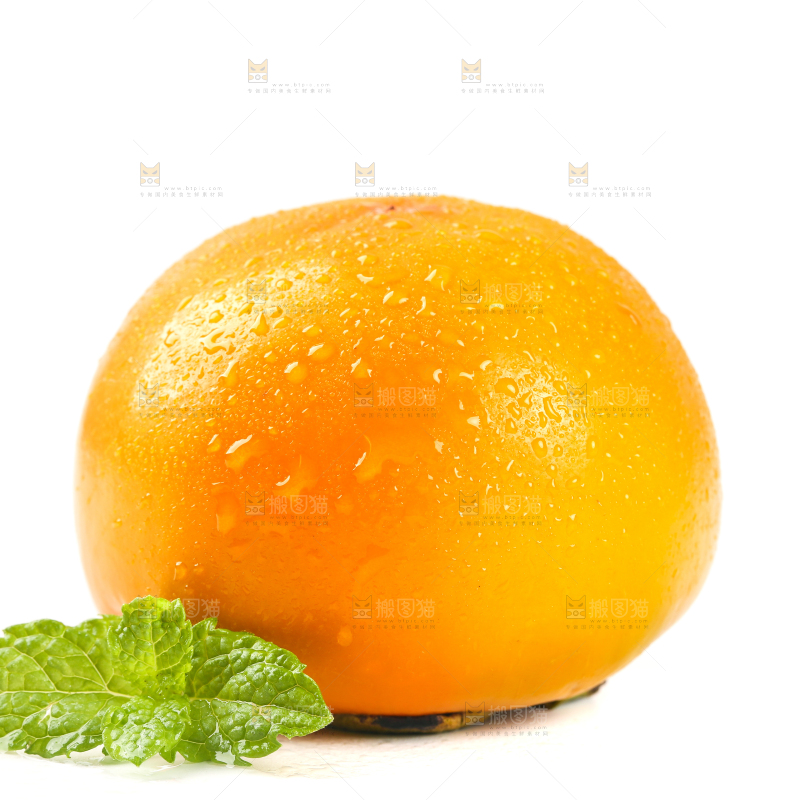 白底上的磨盘柿子
